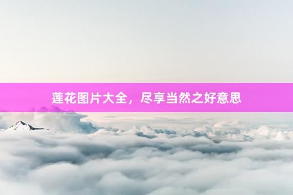 莲花图片大全，尽享当然之好意思