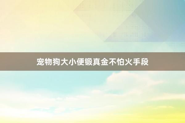 宠物狗大小便锻真金不怕火手段