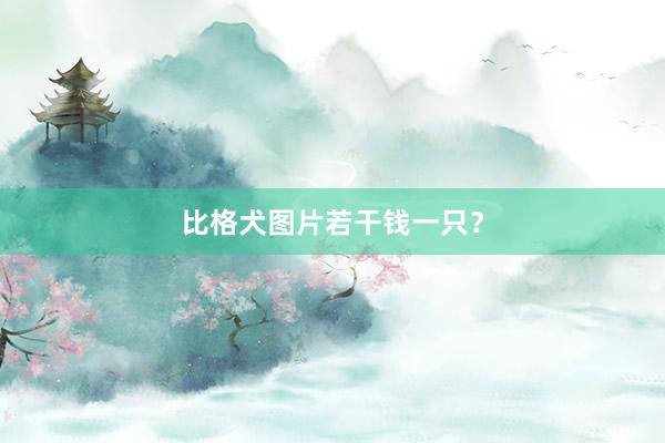 比格犬图片若干钱一只？